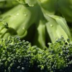 El brócoli: la joya saludable y versátil de la cocina moderna